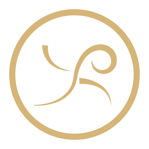 Wordpress Transparent logo